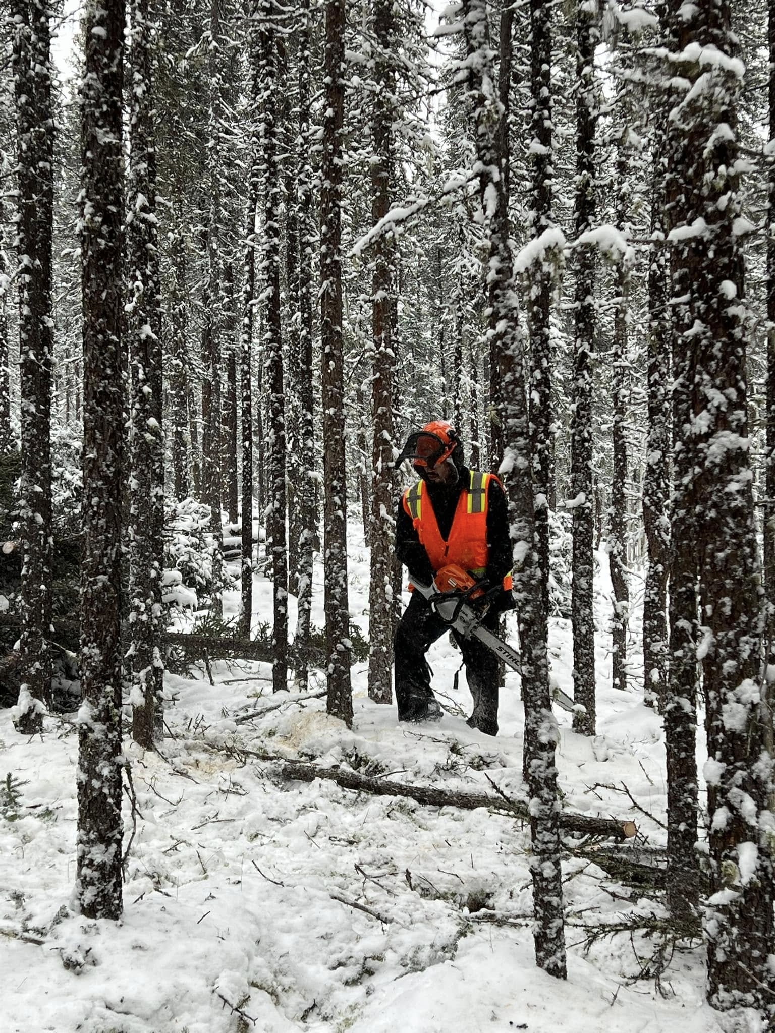 Nulato Village Fire Break project